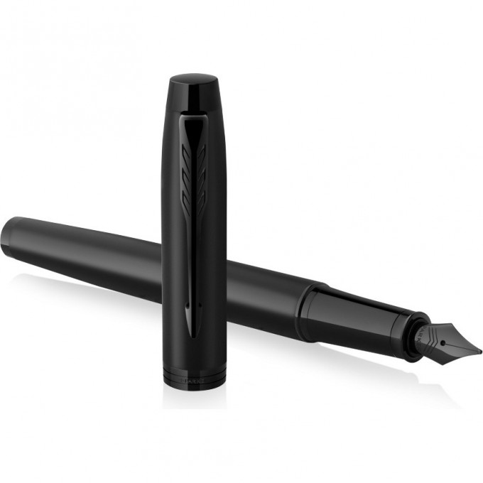 Ручка перьевая PARKER IM ACHROMATIC MATTE BLACK BT CW2127741
